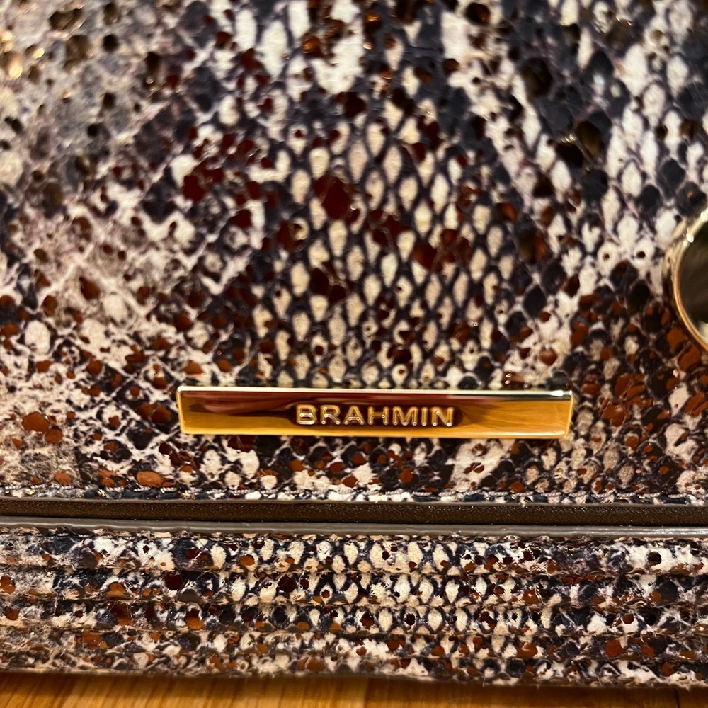 Snakeskin Pattern Handbag - Picture 4 of 10